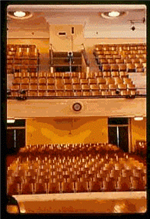 Auditorium seats 